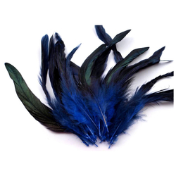 Pštrosí peří 6 - 20 cm - královsky modrá